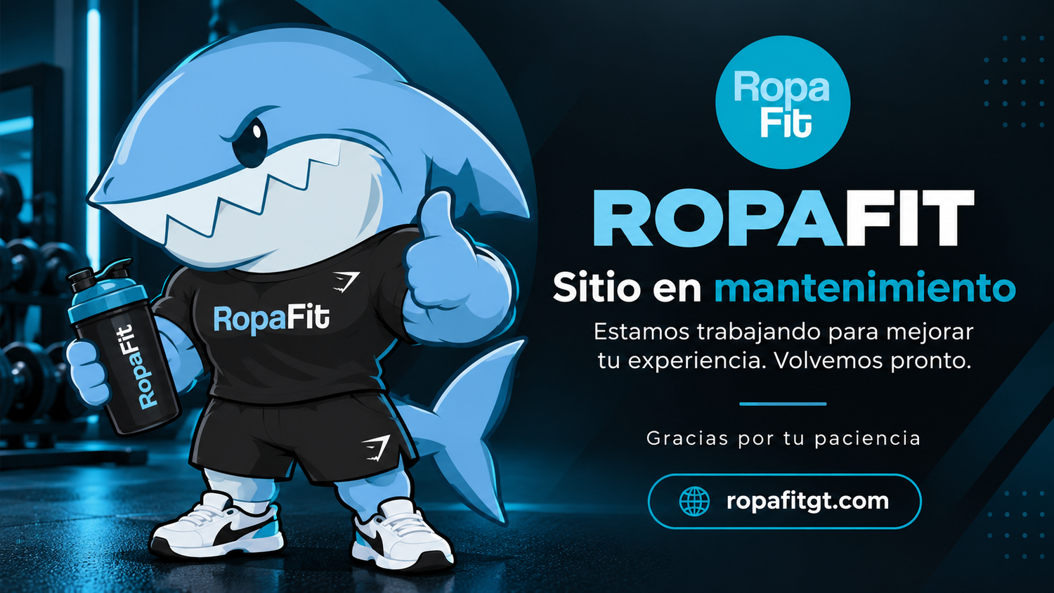 Coming soon 🔥🦈