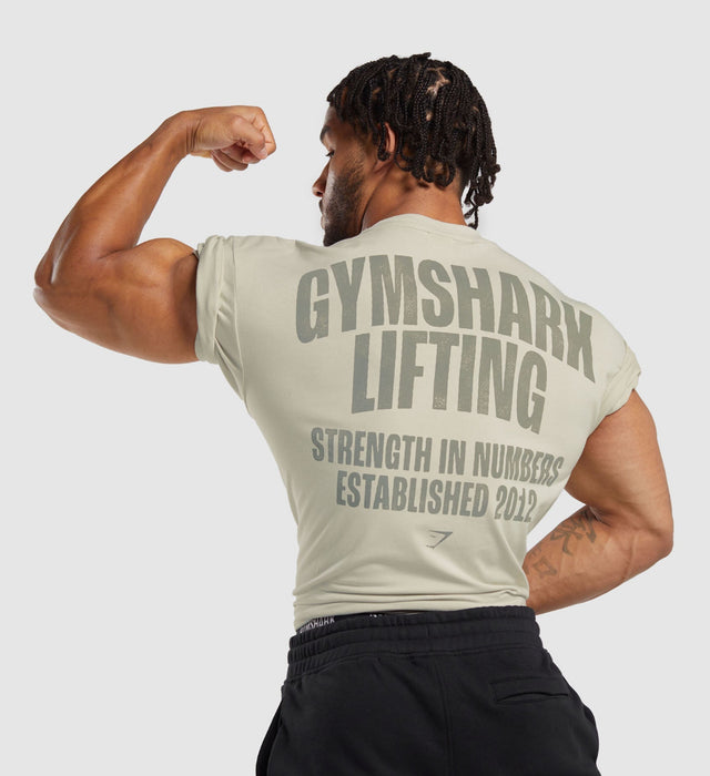 Lifting T-Shirt - Pebble Grey