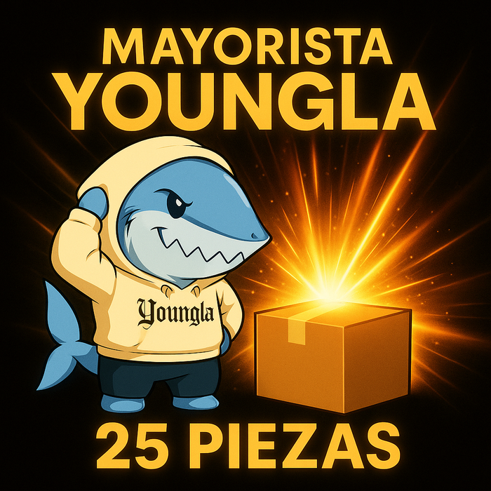 Caja mayorista YOUNGLA para emprendedores 25 prendas al azar NUEVAS ORIGINALES