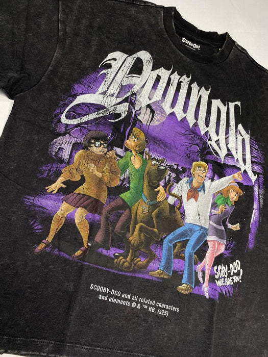 4252 - SCOOBY-DOO TEES MYSTERY CREW
