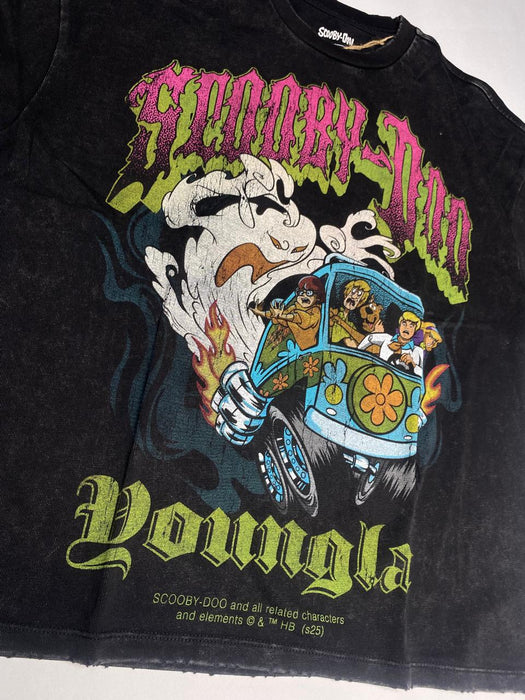4252 - SCOOBY-DOO TEES SMOKE & SCREAMS