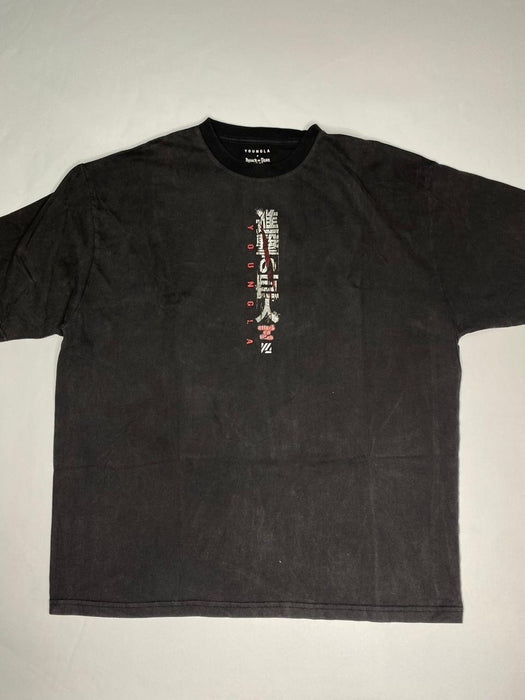 4191 - AOT© x YLA Classic Tees Attack Titan