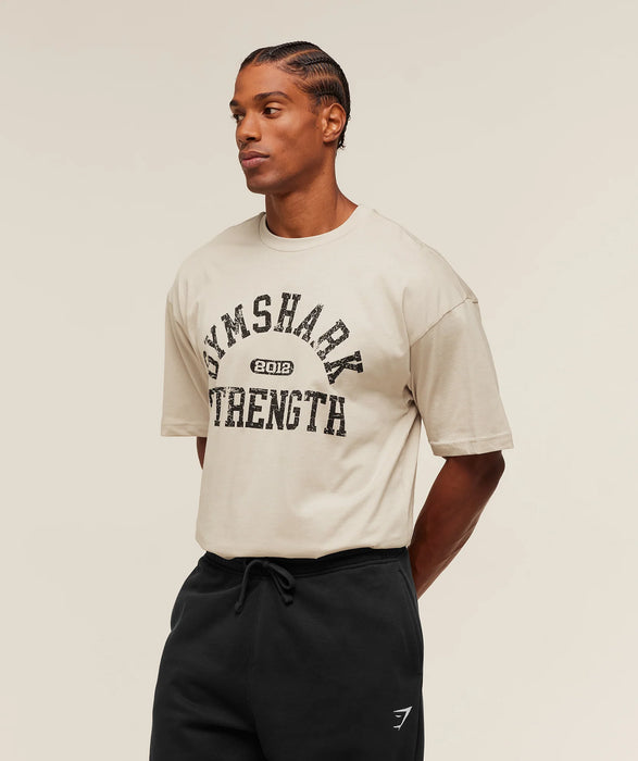 2012 Strength T-Shirt - Pebble Grey