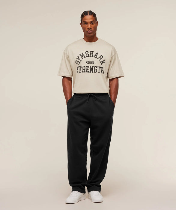 2012 Strength T-Shirt - Pebble Grey